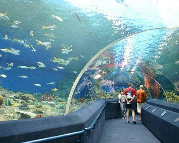 Underwater World Pattaya Skip-the-Line Tickets