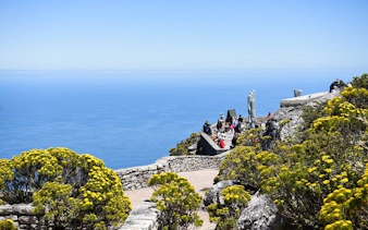 tour guidato di mezza giornata a bo-kaap e alla table mountain-3