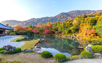 okochi sanso, tenryuji ve maymun parkı’nı kapsayan kyoto arashiyama yürüyüş turu-5
