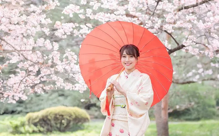 Silk kimono rental at Shinjuku Gyoen with cherry blossoms and red umbrella.
