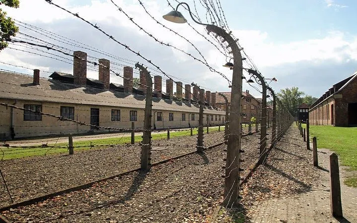Krakow: Auschwitz-Birkenau Shared English Tour and Transfer