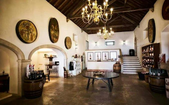 Interior of a winery tasting room in Arrábida, featuring wine barrels and decorative art.