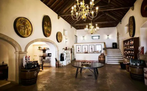 Interior of a winery tasting room in ArrĂ¡bida, featuring wine barrels and decorative art.