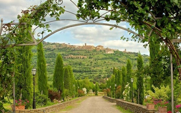 private minibus-tour zu den drehorten von „unter der sonne der toskana“ ab florenz-4