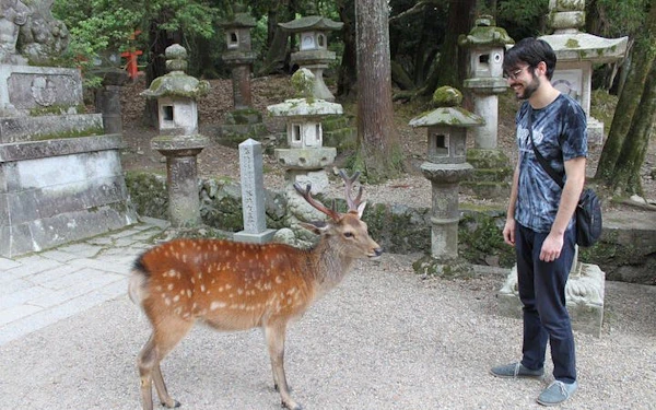 Nara Private Guided Cross Bike Tour with Admission Fees and Bike Gear