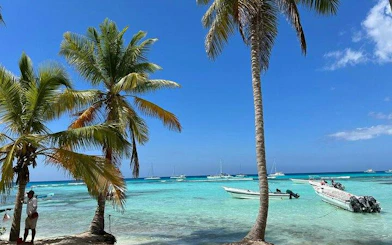 Speedboats anchored near palm trees on Saona Island, turquoise waters, Punta Cana day trip.