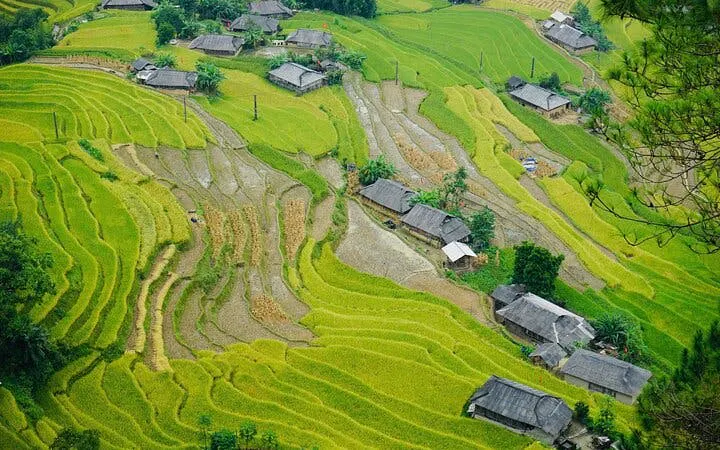 Terraced rice fields and traditional houses in Bac Ha, Vietnam, viewed from above.