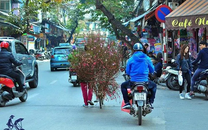 Cyclo carrying flowers through Hanoi's Old Quarter street.