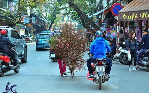 Cyclo carrying flowers through Hanoi's Old Quarter street.