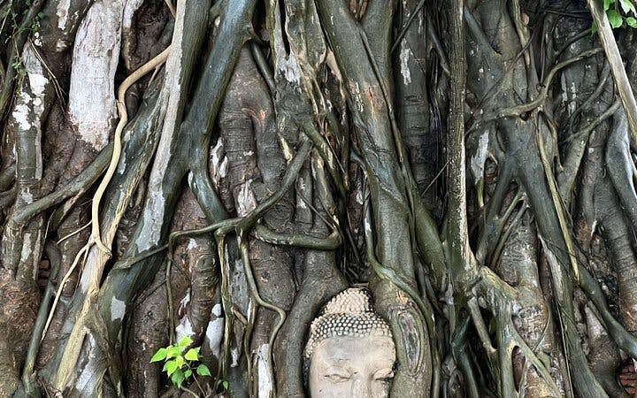 de verborgen pareltjes van ayutthaya: groepsrondleiding met auto en lokale gids-4