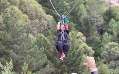 Cape Town Private Ziplining Tour in Constantia Winelands with Scenic Drives and Penguin Viewing