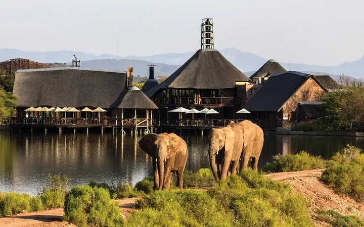 Garden Route Safari and Wildlife Tour from Cape Town with Oudtshoorn and Mossel Bay Visits Image 10