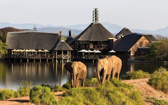 garden route safari and wildlife tour from cape town with oudtshoorn and mossel bay visits-10