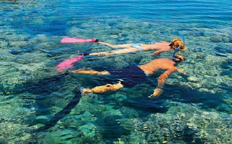 Snorkelers exploring clear waters at Tiran Island, Sharm El Sheikh.