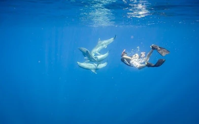 Snorkeler swimming with dolphins in clear blue water near Hurghada.