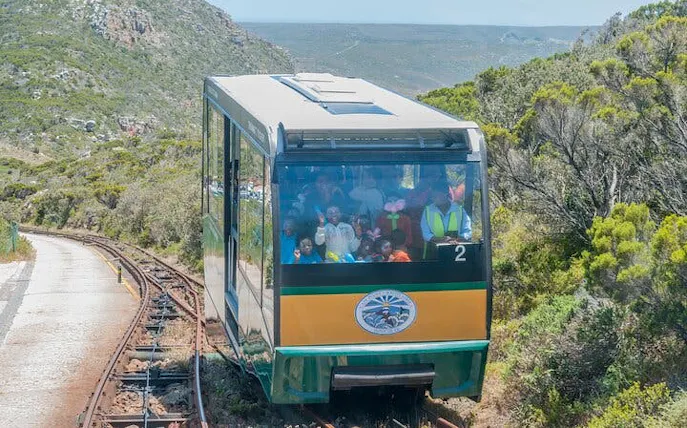 privétour vanuit kaapstad: kajaktocht langs de kaapse schiereiland en de pinguïns, inclusief bezoek aan de kaap de goede hoop-1
