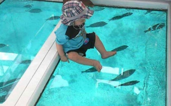 Child sitting on glass-bottom boat viewing fish, Sharm El Sheikh water tour.