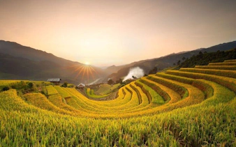 Rice terraces at sunrise in Mu Cang Chai, Vietnam, with distant ethnic village houses.