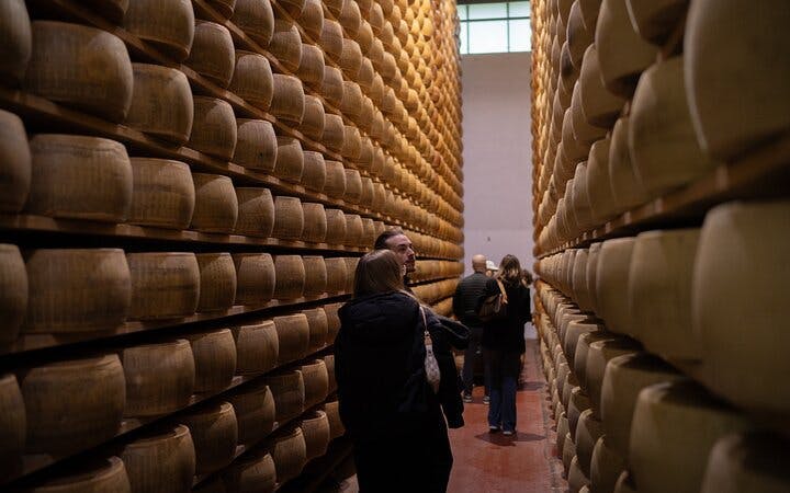 bologna food valley: degustazione in fabbrica, vini e prodotti tradizionali-5