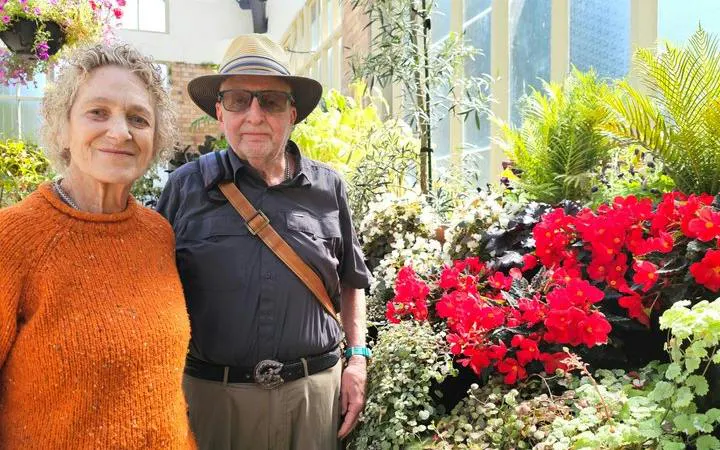 Auckland City Top Spots Half Day Tour(Small Group Tour)