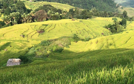 Sapa to Ha Giang Guided Motorbike Tour Including Ethnic Villages, Mountain Passes, Meals, and Accommodation