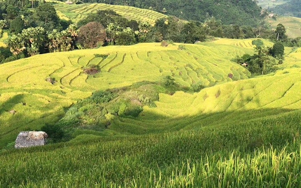 Sapa to Ha Giang Guided Motorbike Tour Including Ethnic Villages, Mountain Passes, Meals, and Accommodation