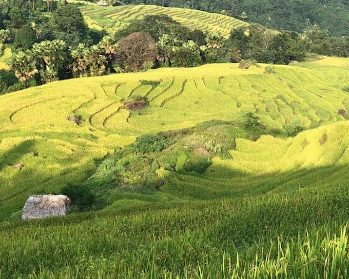 Sapa to Ha Giang Guided Motorbike Tour Including Ethnic Villages, Mountain Passes, Meals, and Accommodation (Product 54222)