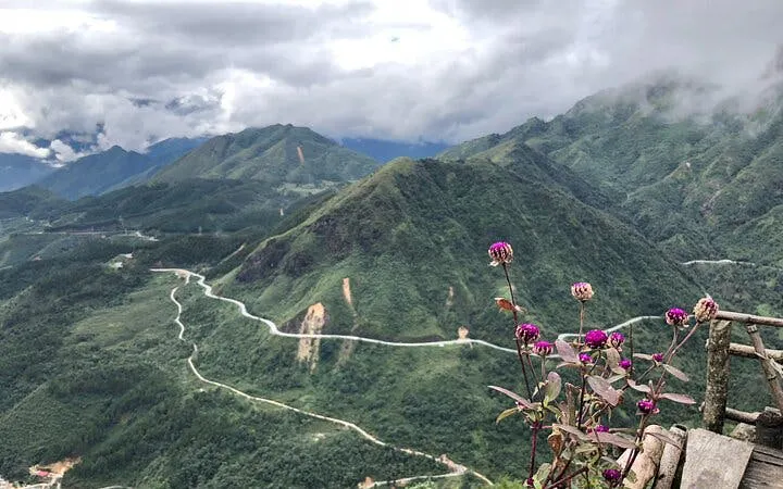 Winding road through lush mountains in Sa Pa, Vietnam, with purple flowers in the foreground.