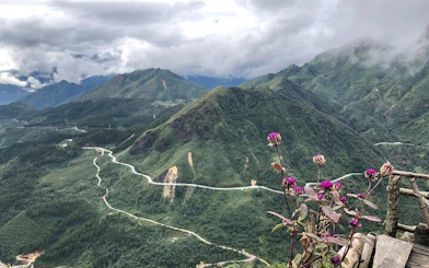 Winding road through lush mountains in Sa Pa, Vietnam, with purple flowers in the foreground.