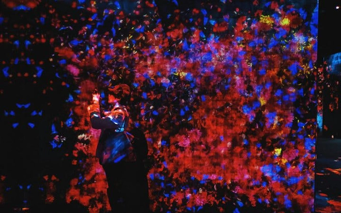 Interactive digital art display at teamLab Borderless, Tokyo.
