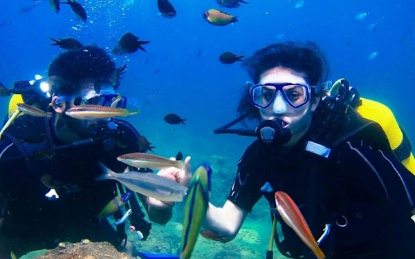 Tiran Island Snorkeling, 2 Dives Boat Sea Trip – Sharm El Sheikh