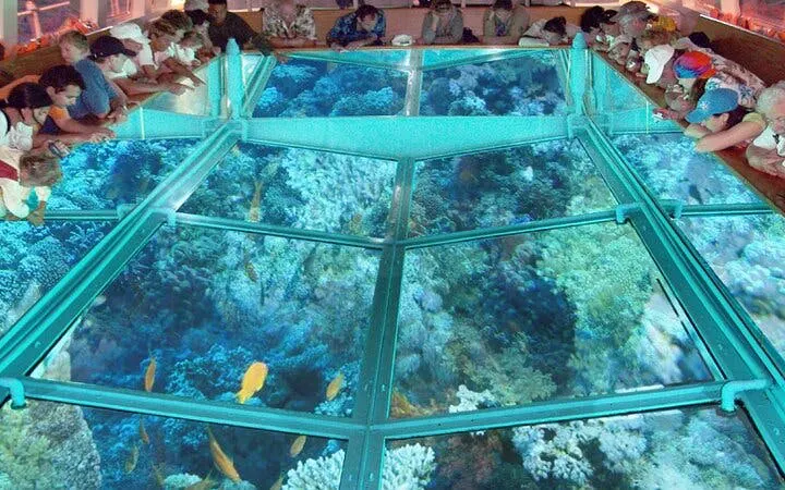 Glass-bottom boat showing coral reef and fish, Sharm El Sheikh sea trip.