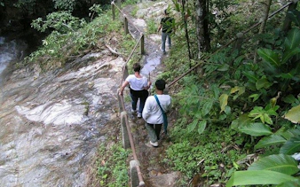 Visitors walking along a forest path in Mae Kham Pong Village, Chiang Mai.