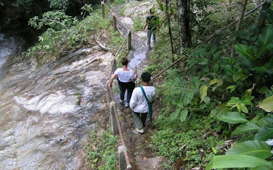 Visitors walking along a forest path in Mae Kham Pong Village, Chiang Mai.