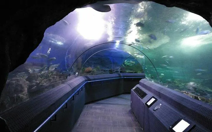 Underwater tunnel at Underwater World Pattaya with marine life visible through glass.