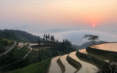 Terraced rice fields at sunrise in Sapa, Vietnam, near Ta Van Village.