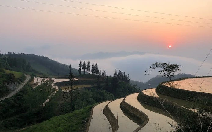 Terraced rice fields at sunrise in Sapa, Vietnam, near Ta Van Village.