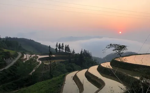 Terraced rice fields at sunrise in Sapa, Vietnam, near Ta Van Village.