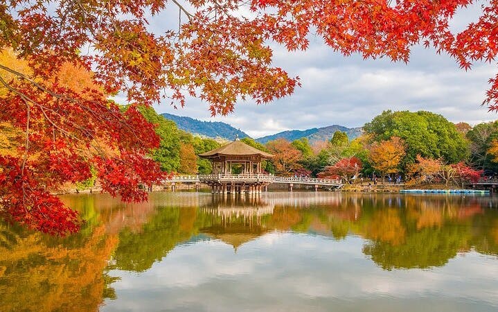 hoogtepunten van de nara-crossfietstocht - todaiji, park, herten, kasuga, messen, gezelligheid-4