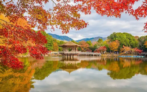 nara highlights bike tour-1