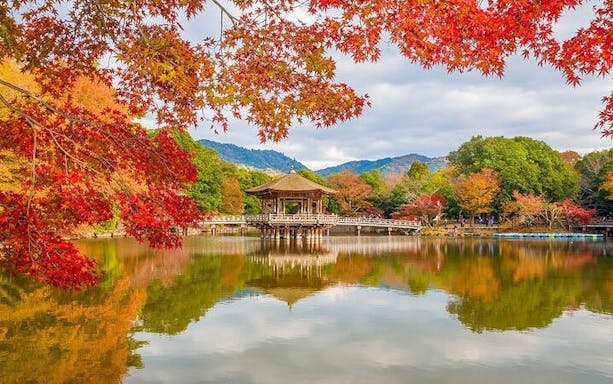 hoogtepunten van de nara-crossfietstocht - todaiji, park, herten, kasuga, messen, gezelligheid-4