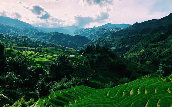 Terraced rice fields in Sapa with distant view of Ta Van Village, Vietnam.