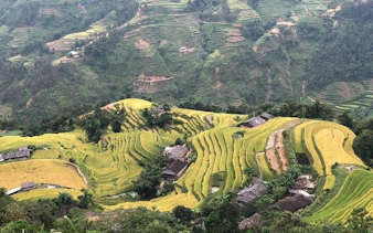 Terraced rice fields in Bac Ha, Vietnam, with traditional village homes nestled in the landscape.