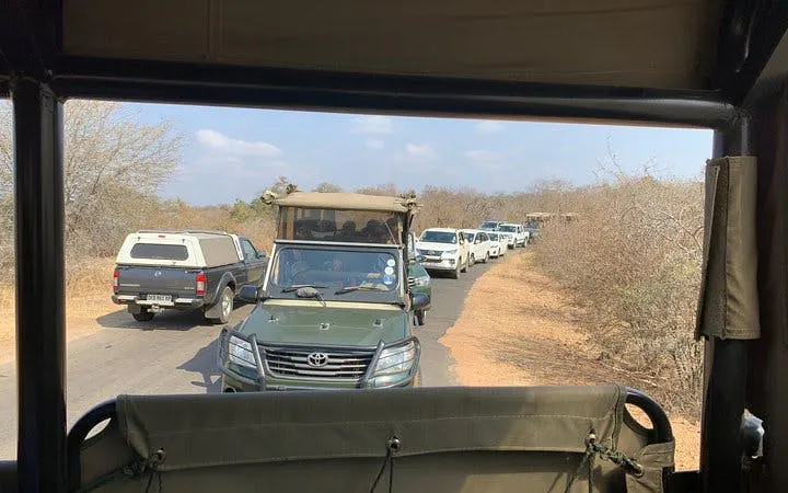 Kruger National Park Guided Safari Tour from Hazyview with Hotel Transfers Image 10