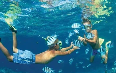 Children snorkeling with striped fish in clear waters during Hurghada scuba diving trip.
