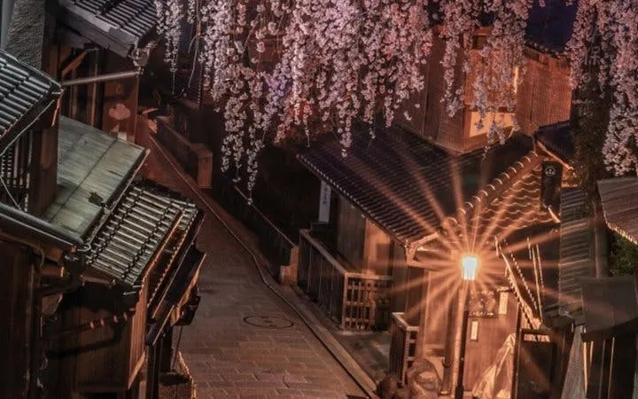 Kyoto Gion district street with cherry blossoms and traditional wooden houses at night.