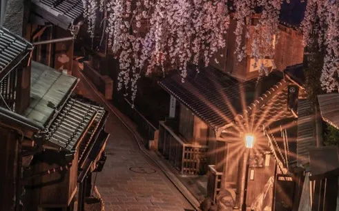 Kyoto Gion district street with cherry blossoms and traditional wooden houses at night.