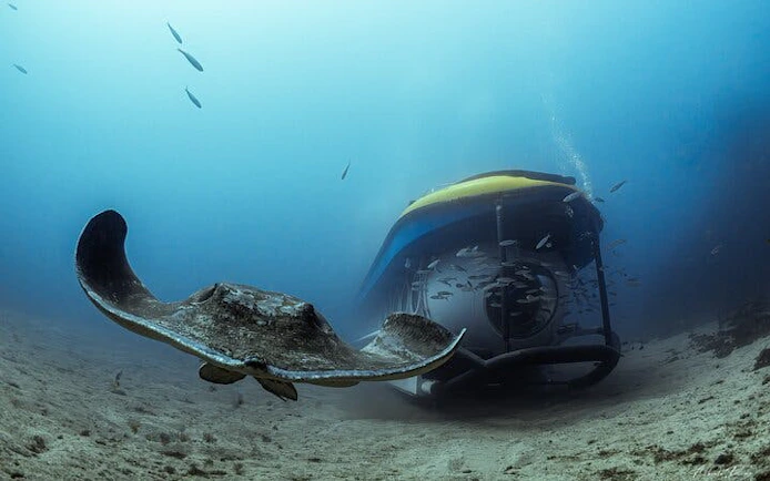 Submarine exploring ocean floor with stingray, Tenerife.