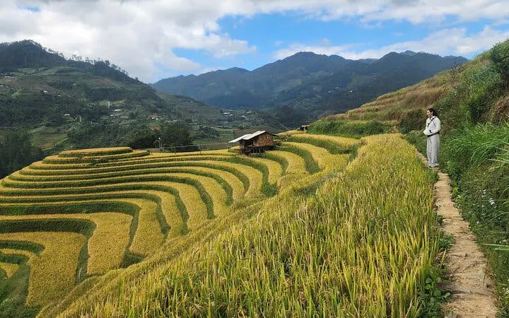 Mu Cang Chai to Sapa Small-Group Motorbike Tour of Northern Vietnam Mountain Landscapes with Meals (Product 54217)