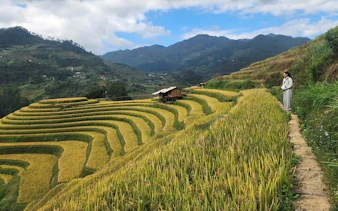 Terraced rice fields in Mu Cang Chai, Vietnam, with a person standing on a path, mountains in the background.